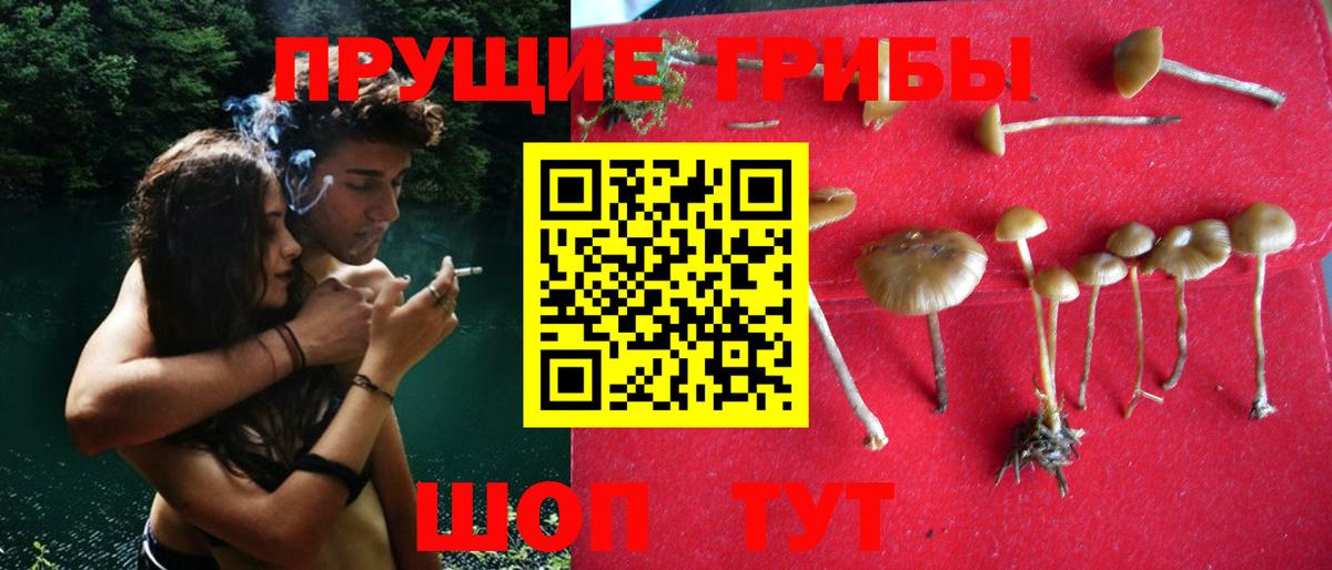 Псилоцибиновые грибы GOLDEN TEACHER  Псилоцибиновые грибы MAGIC MUSHROOMS  Стрежевой  Вход с VPN 