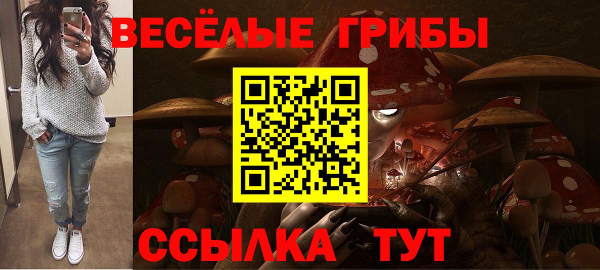 Псилоцибиновые грибы GOLDEN TEACHER Стрежевой